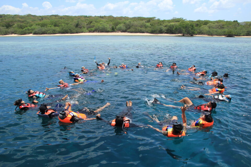 Trekking - Image 3