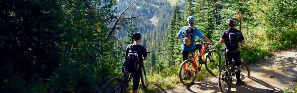 Cycling - Image 3